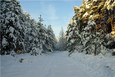 PS港服商城开启“玩转新一年”优惠活动 游戏最低至两折
