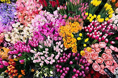 麦克演员采访 矢口否认自己会出演《GTA 6》