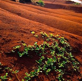 摩托变单车 《宝可梦：朱＆紫》鬼畜BUG视频赏